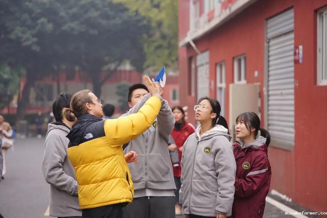 国际部SACE课程揭秘(一)数学