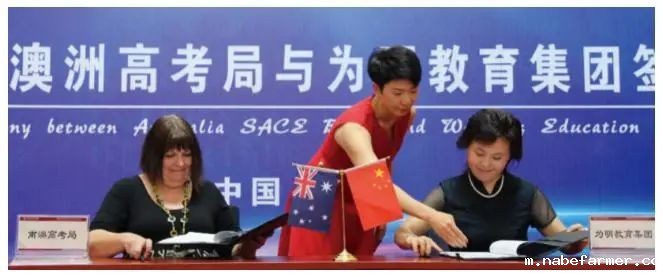 国际部SACE课程揭秘(一)数学