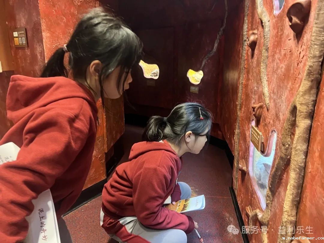 漢鼎課|戶外學習:小學生探秘沙田文化博物館之兒童探知館