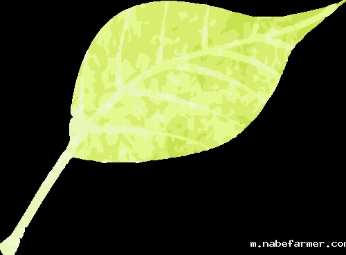 名校录取 | 从预科中心到悉尼大学:努力与机遇并存的逐梦之旅