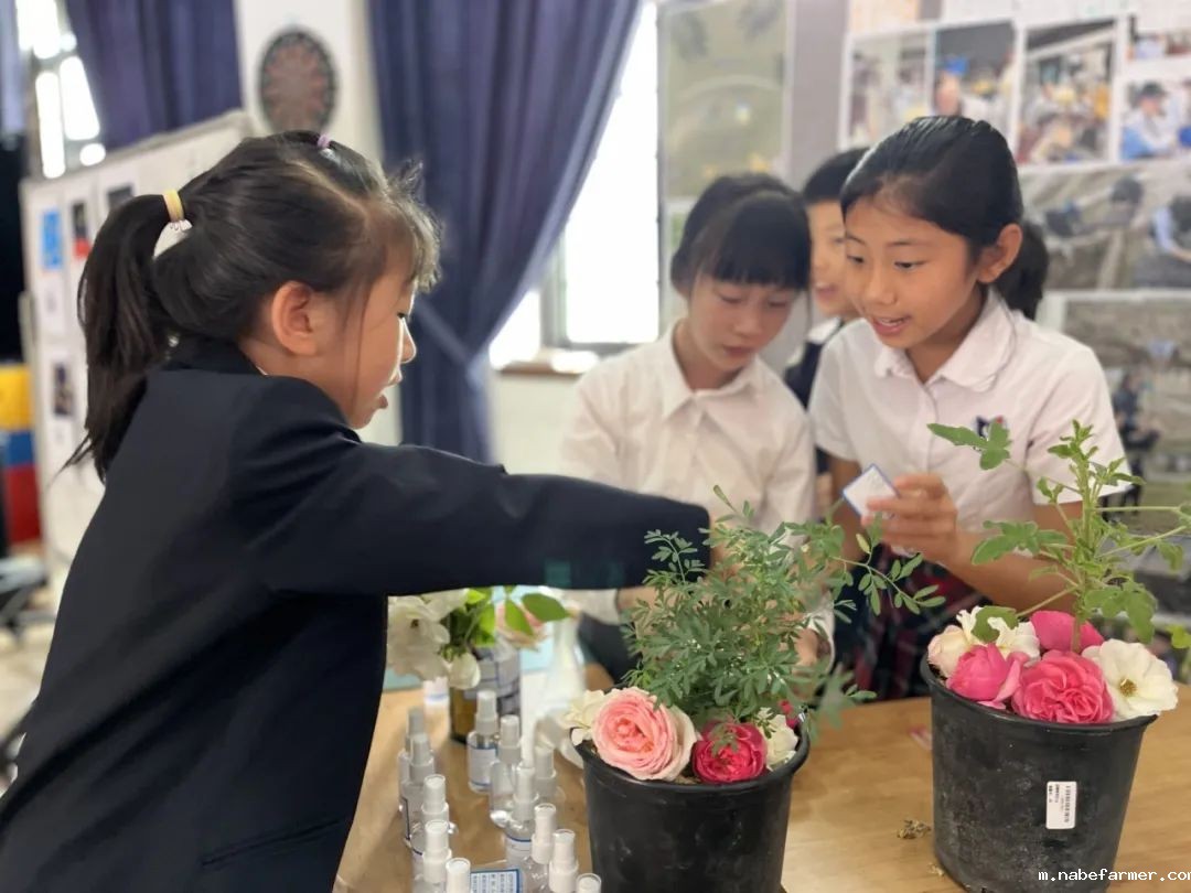 【专访】美国外教扎根成都21年:把学生送进 G5 藤校 的“麻辣导师”