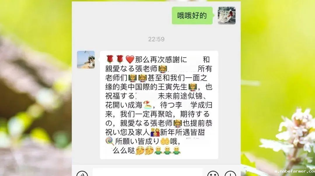 名校录取 | 从预科中心到悉尼大学:努力与机遇并存的逐梦之旅