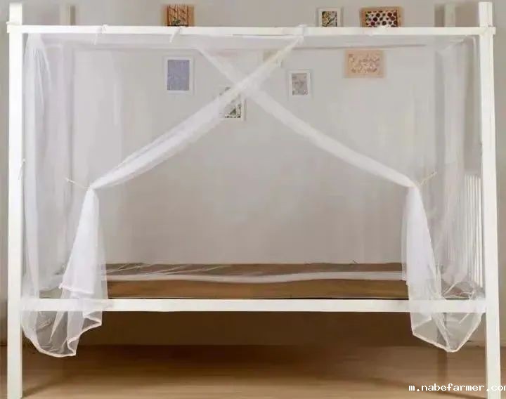 开学须知 | 我们等待着在春日相见!