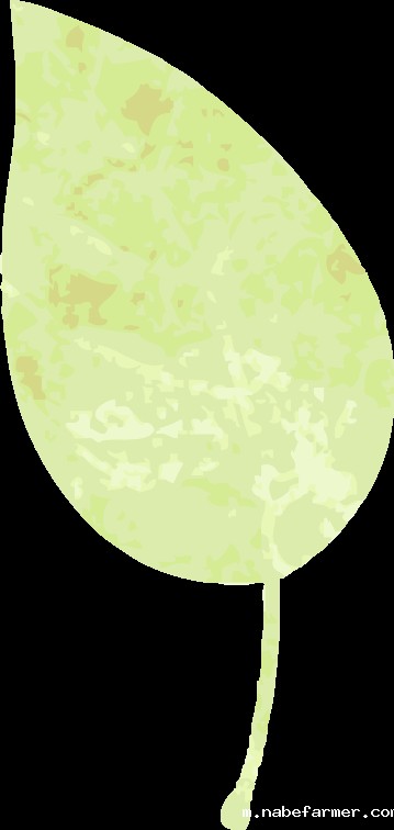 名校录取 | 从预科中心到悉尼大学:努力与机遇并存的逐梦之旅