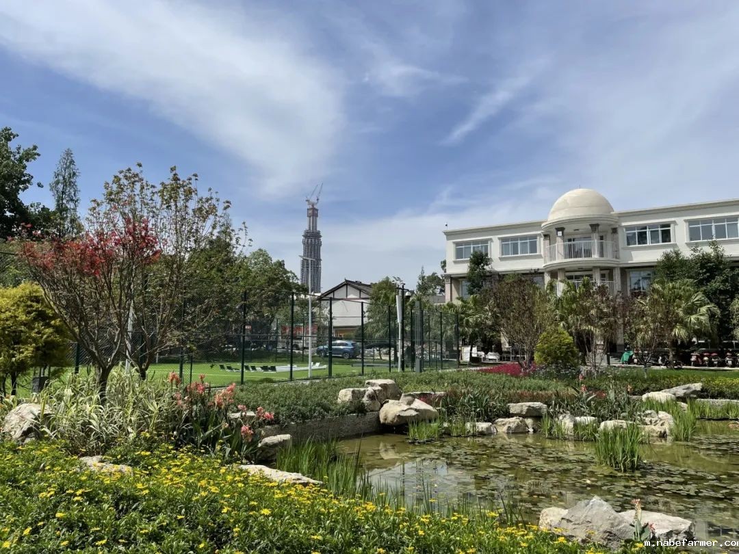 名校录取 | 从预科中心到悉尼大学:努力与机遇并存的逐梦之旅