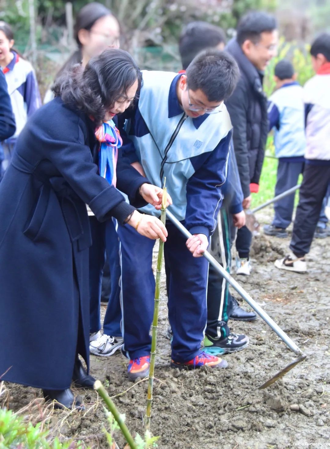 “院士学田”开课啦丨科技赋能生态,竹绿青山未来