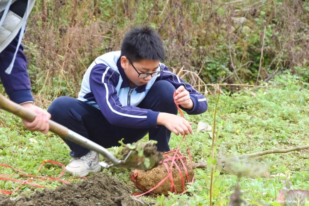 “院士学田”开课啦丨科技赋能生态,竹绿青山未来