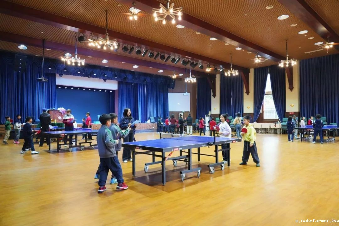 挥拍逐梦,荣耀时刻!CISA U11乒乓球锦标赛邀您见证少年锋芒