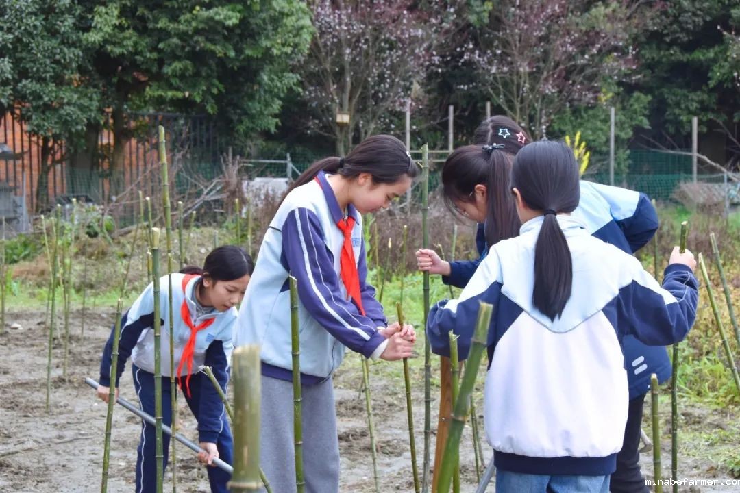 “院士学田”开课啦丨科技赋能生态,竹绿青山未来
