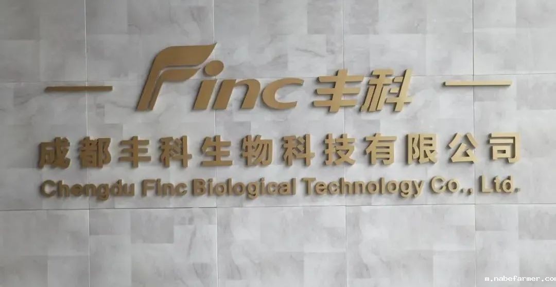 不一样的商务课程丨探秘成都丰科菌菇生产,领略现代农业魅力