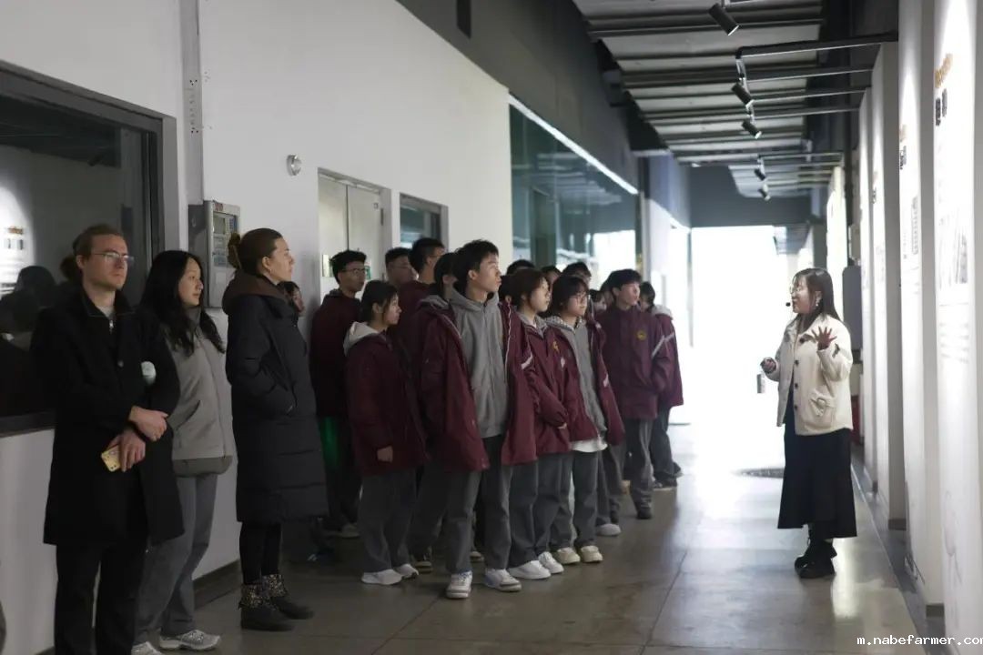 不一样的商务课程丨探秘成都丰科菌菇生产,领略现代农业魅力