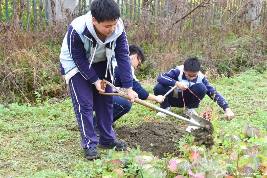 “院士学田”开课啦丨科技赋能生态,竹绿青山未来