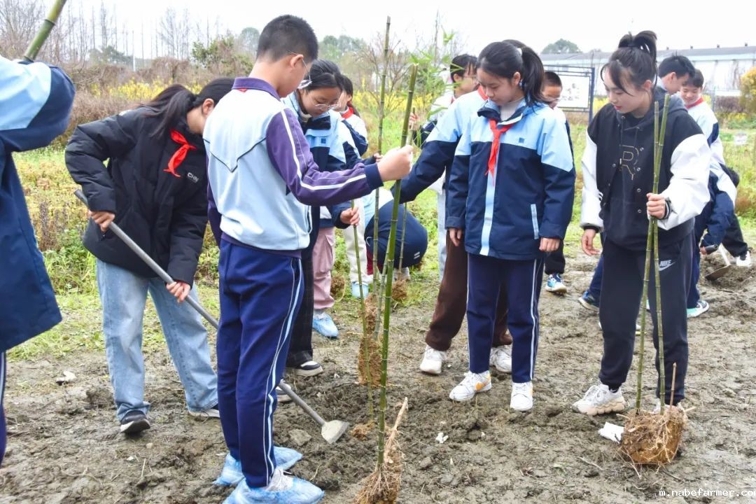“院士学田”开课啦丨科技赋能生态,竹绿青山未来