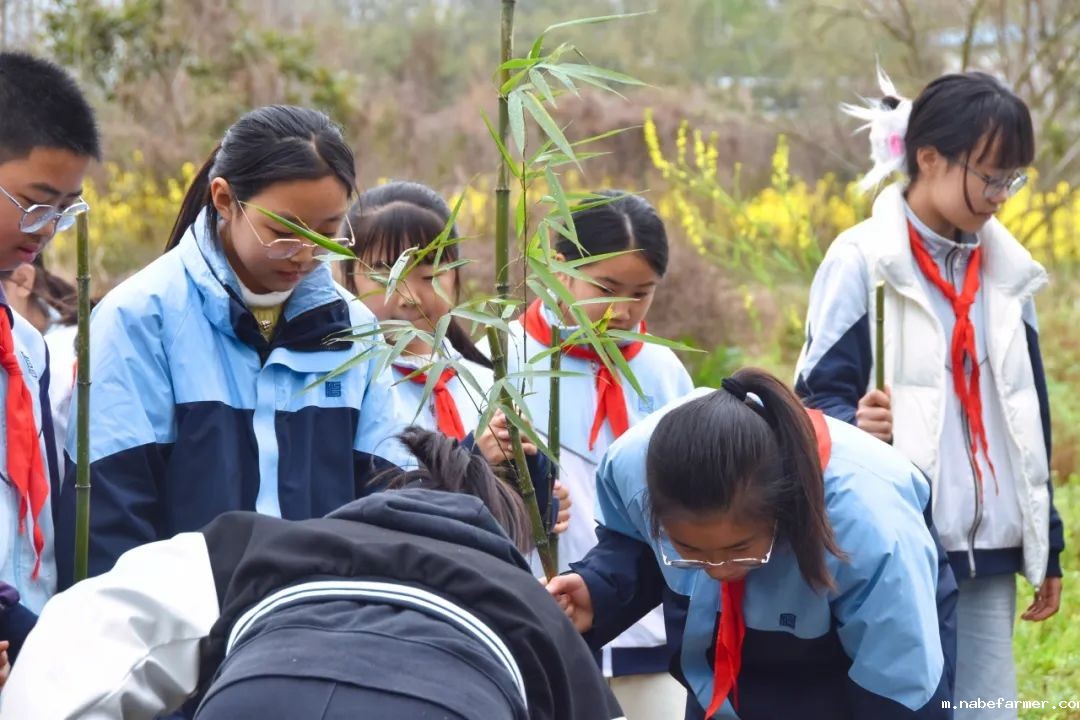 “院士学田”开课啦丨科技赋能生态,竹绿青山未来