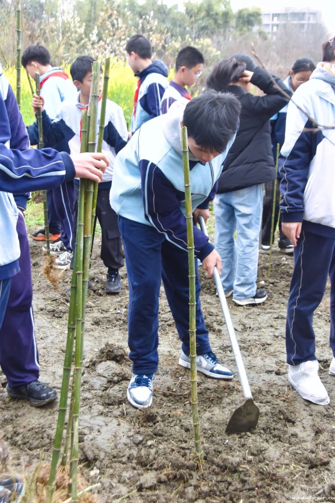 “院士学田”开课啦丨科技赋能生态,竹绿青山未来