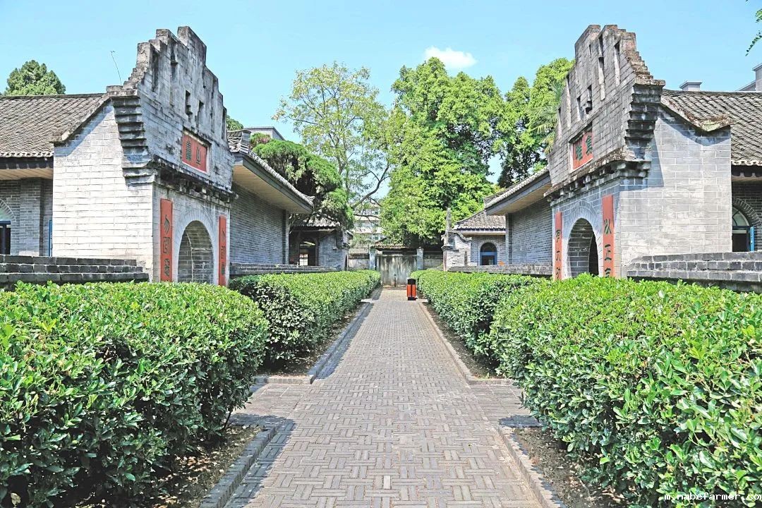 【喜报】康礼学子闪耀国际赛场!