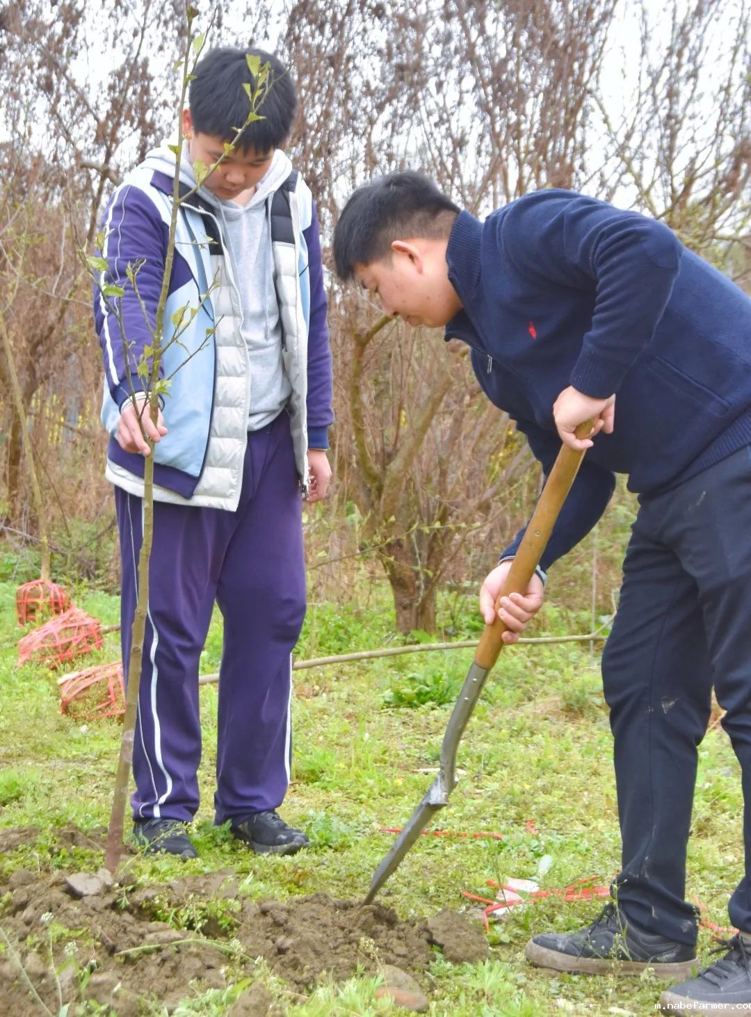“院士学田”开课啦丨科技赋能生态,竹绿青山未来