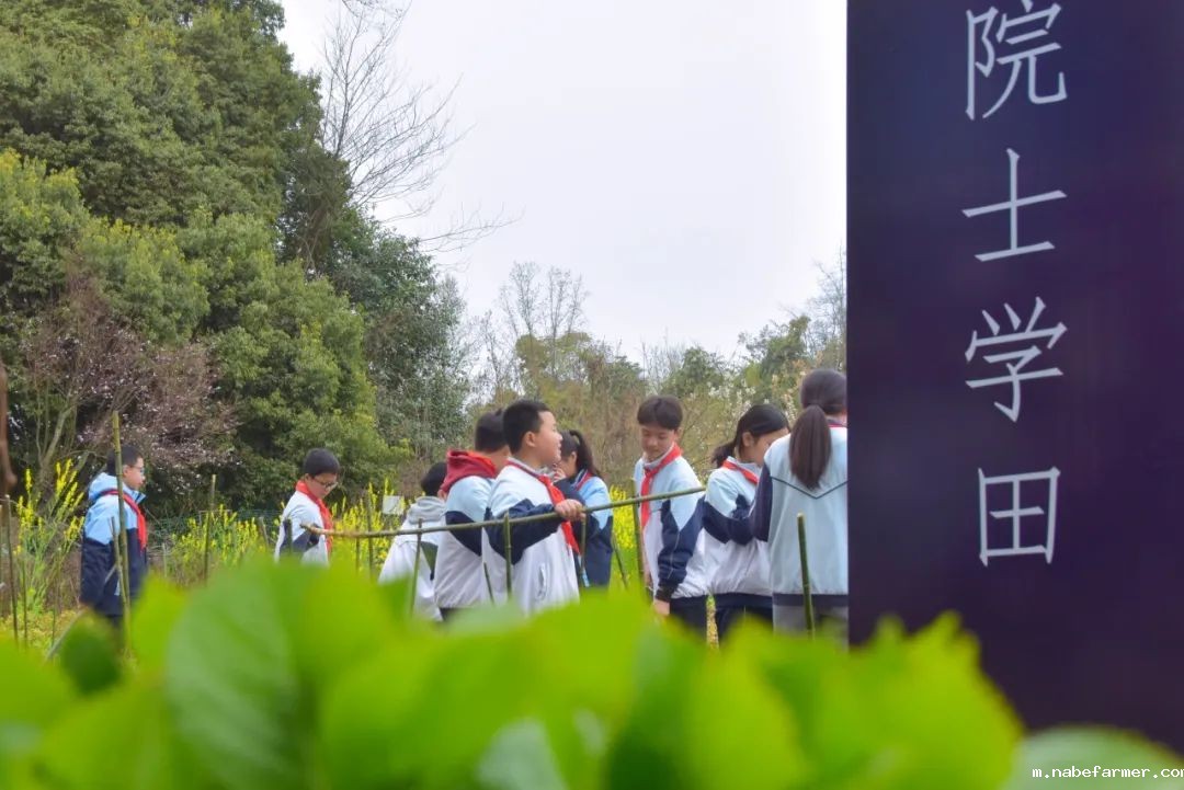 “院士学田”开课啦丨科技赋能生态,竹绿青山未来