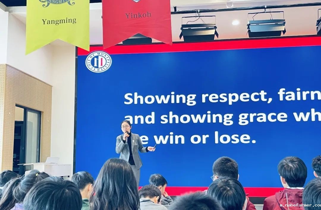 How do MISers learn and live丨3月第一周,MIS的学生如何学习和生活?