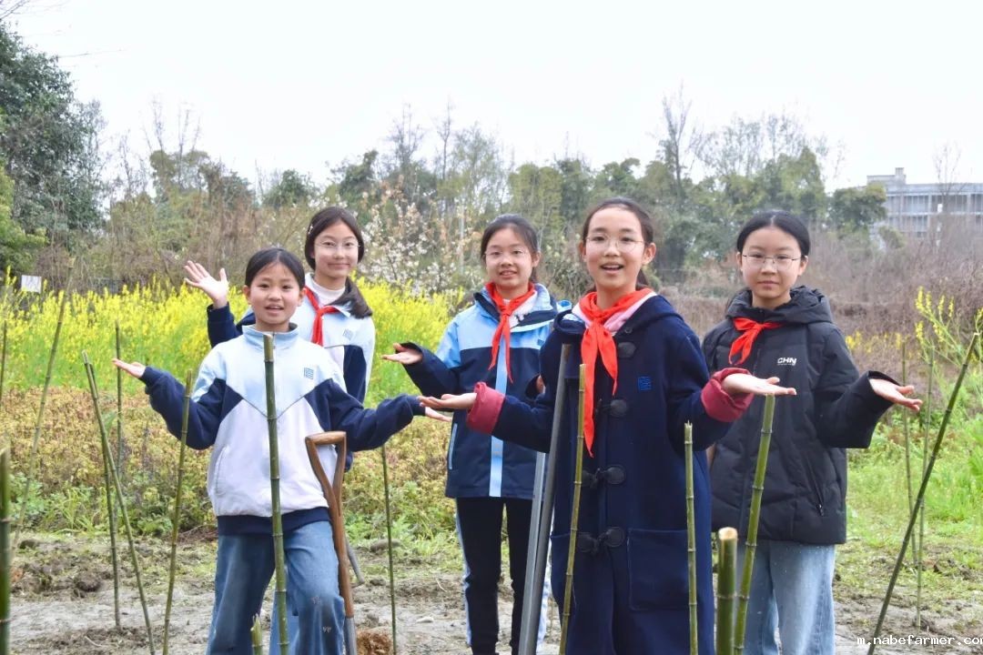 “院士学田”开课啦丨科技赋能生态,竹绿青山未来