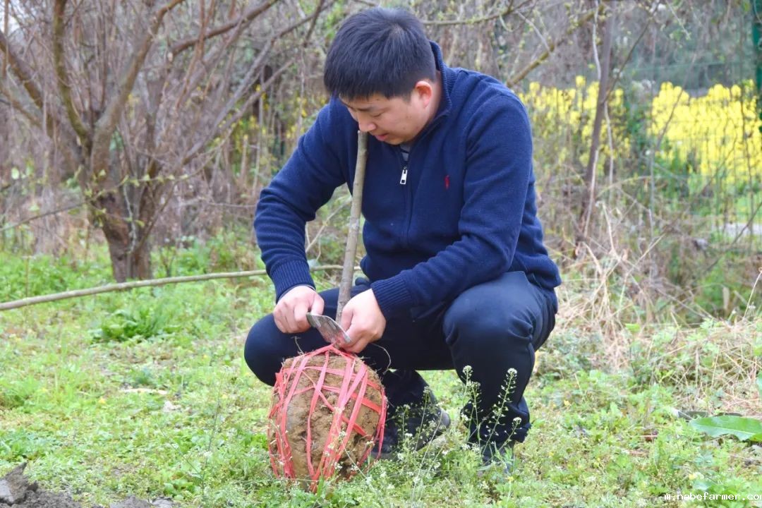 “院士学田”开课啦丨科技赋能生态,竹绿青山未来