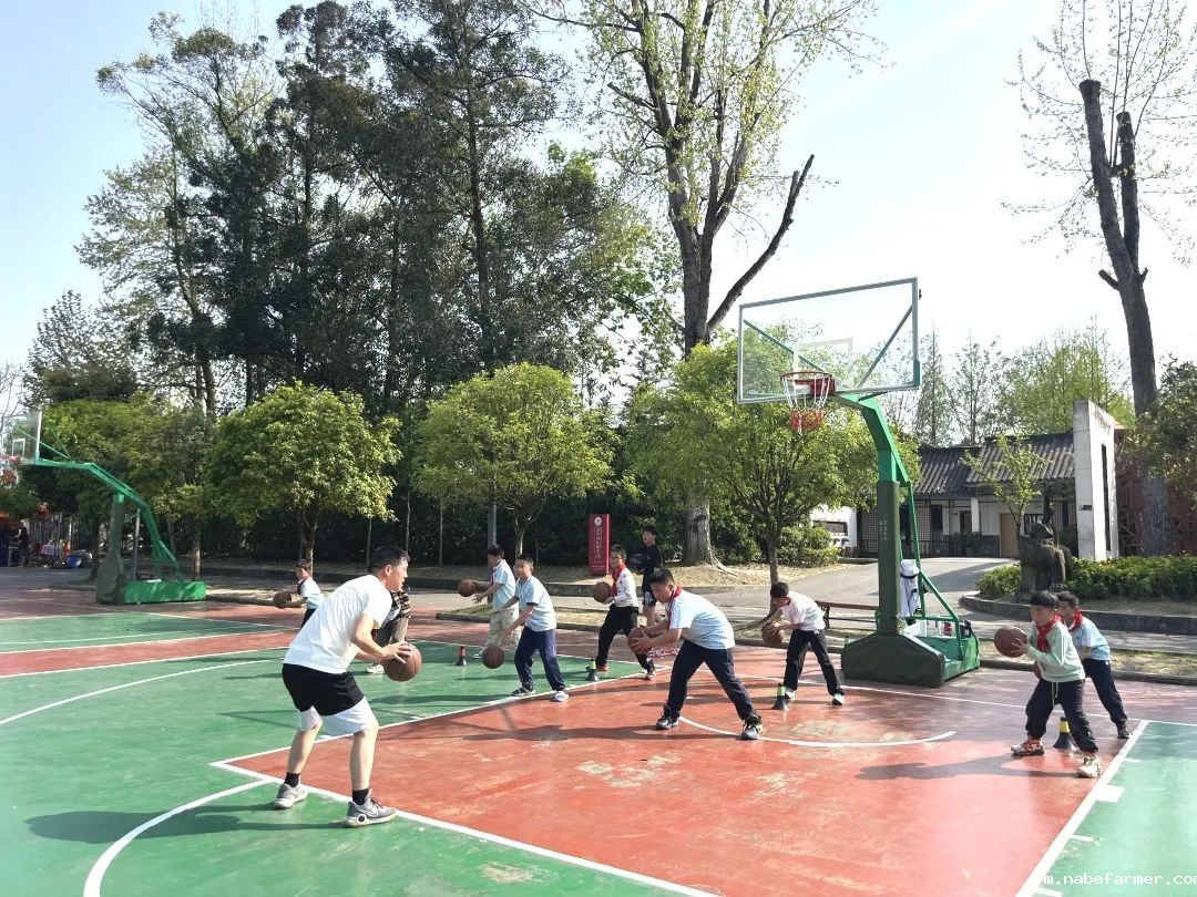 篮球跃动校园,汗水浇灌成长