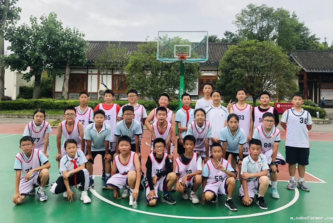 篮球跃动校园,汗水浇灌成长