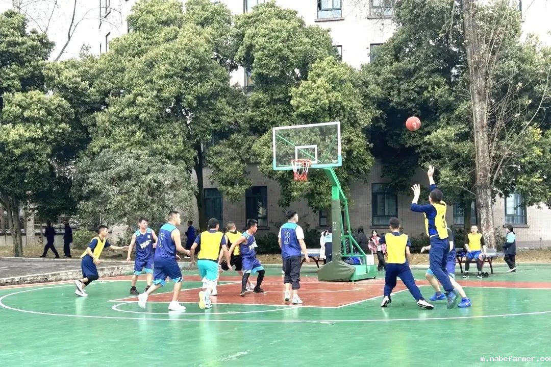 篮球跃动校园,汗水浇灌成长