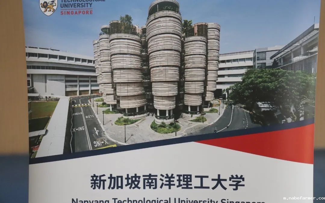 2025春季世界名校大学展 | 对话大学招生官,展望全球