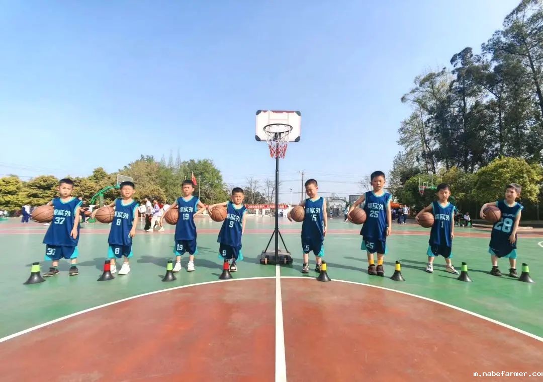 篮球跃动校园,汗水浇灌成长