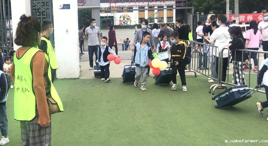 全员参与齐携手,内外守护筑平安