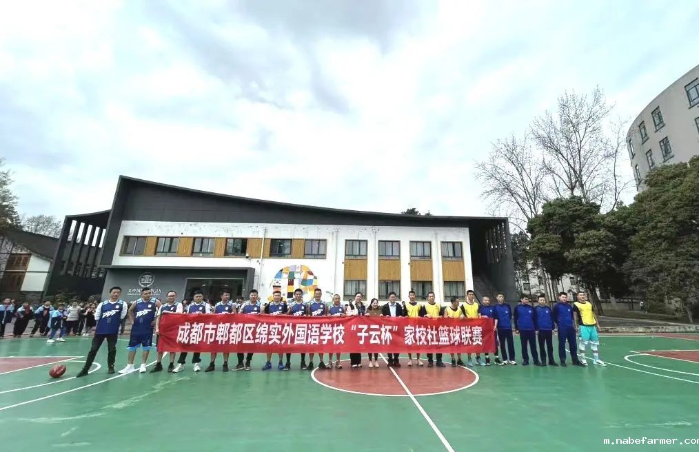 篮球跃动校园,汗水浇灌成长