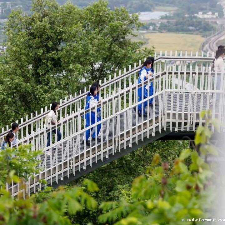 研学日 | 4月春日好,我们开启了一场关于大自然与非遗文化的成长之旅