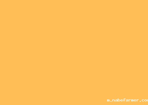 研学日 | 4月春日好,我们开启了一场关于大自然与非遗文化的成长之旅