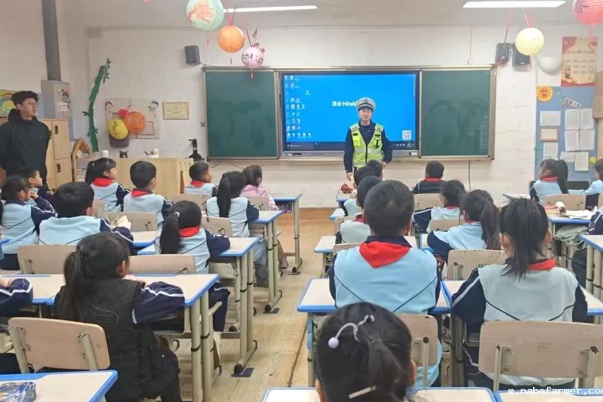 全员参与齐携手,内外守护筑平安