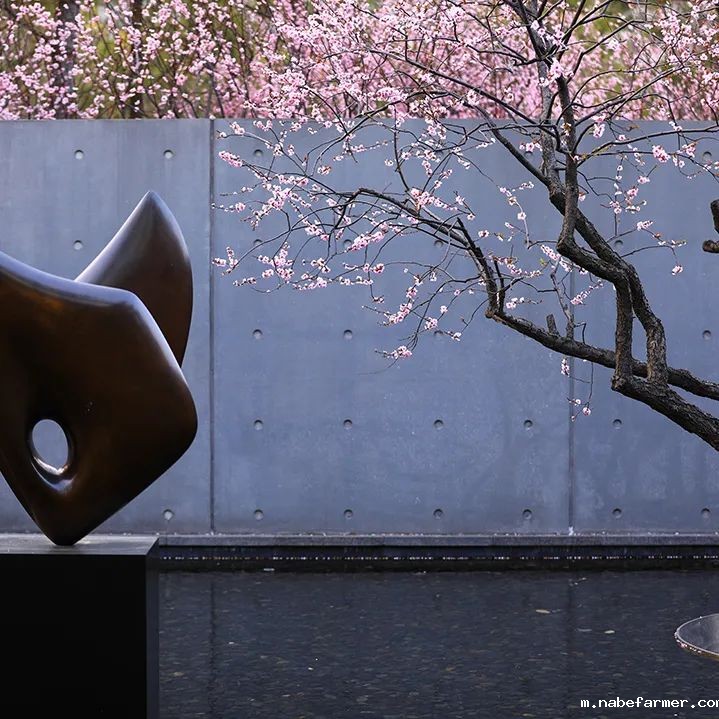 2025录取捷报|加拿大UBC录取来啦!