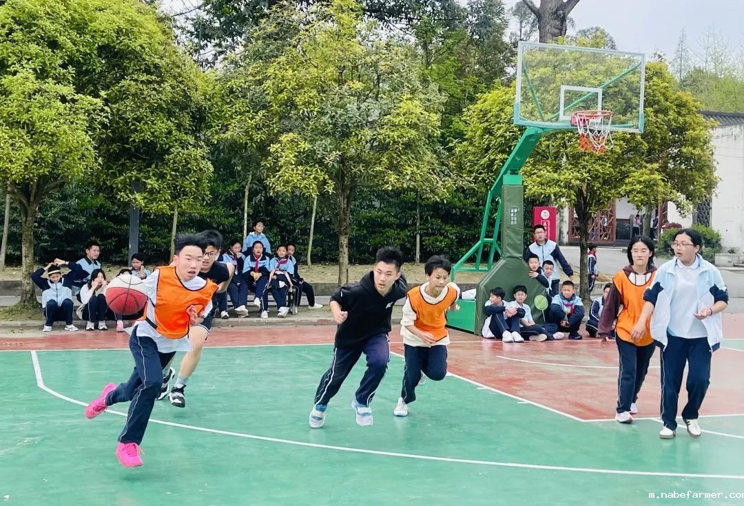 篮球跃动校园,汗水浇灌成长
