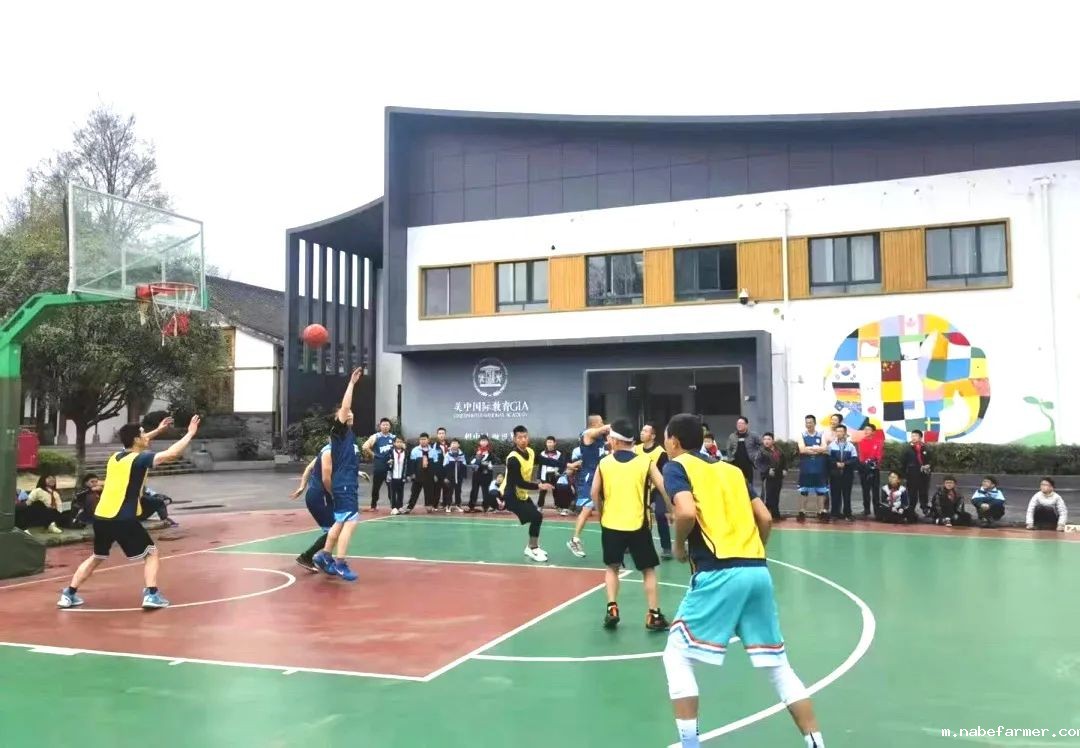 篮球跃动校园,汗水浇灌成长