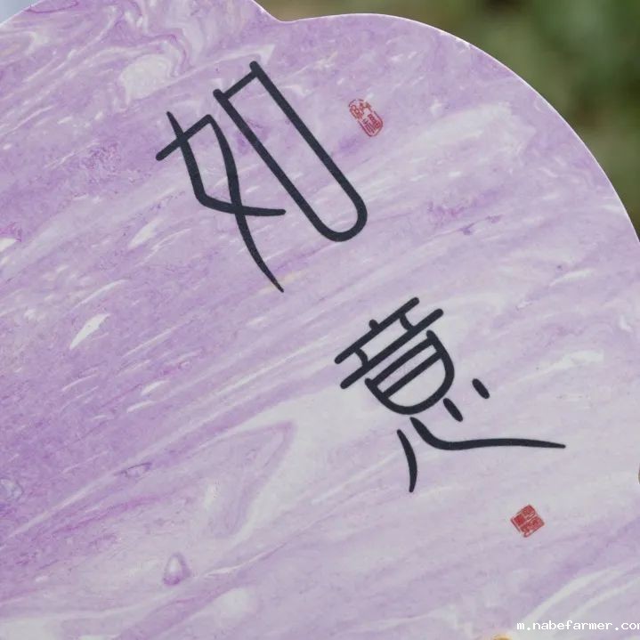 研学日 | 4月春日好,我们开启了一场关于大自然与非遗文化的成长之旅