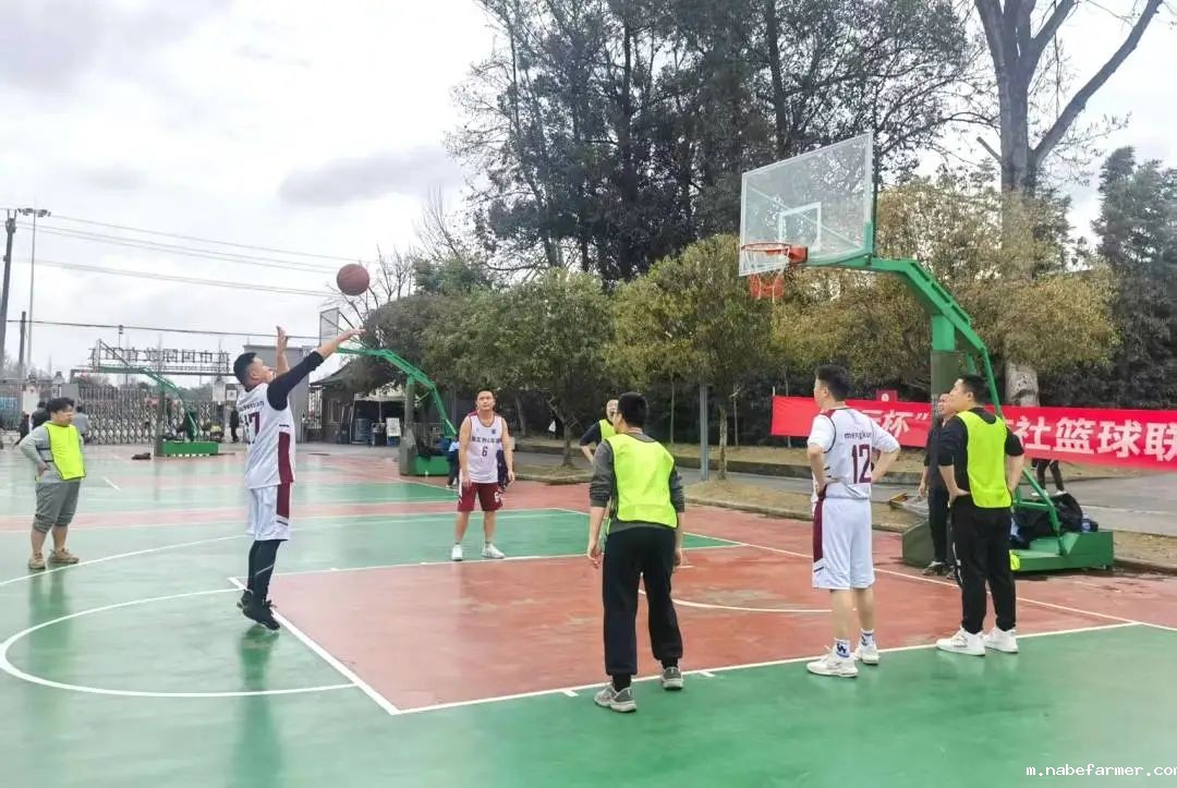 篮球跃动校园,汗水浇灌成长