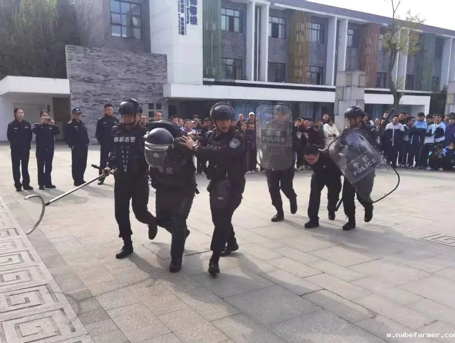 全员参与齐携手,内外守护筑平安
