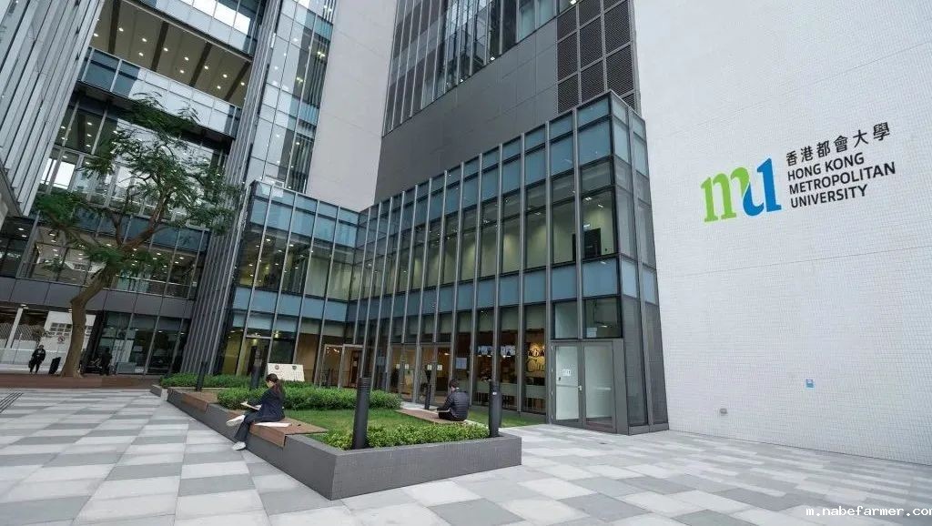 重磅!香港都会大学扩招硕士名额,专科生直通名校,全程中文教学!