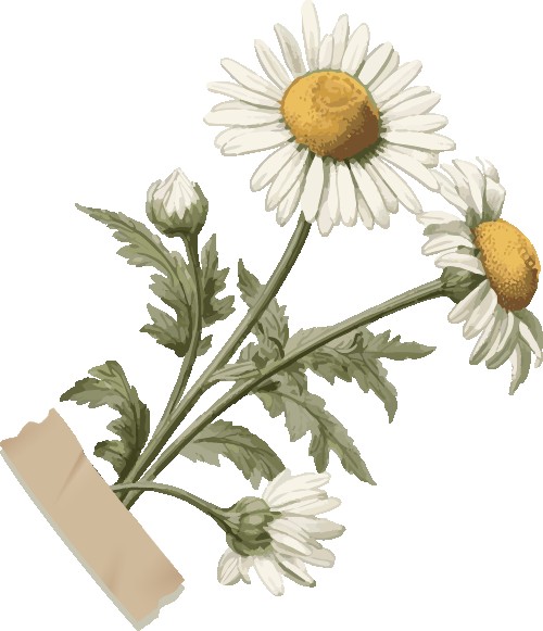 高2025届毕业典礼 | 扬帆起航,执炬前行,少年们去冲击更广阔的世界吧!