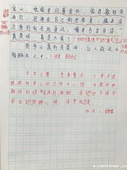 每一笔批改都是爱的印记