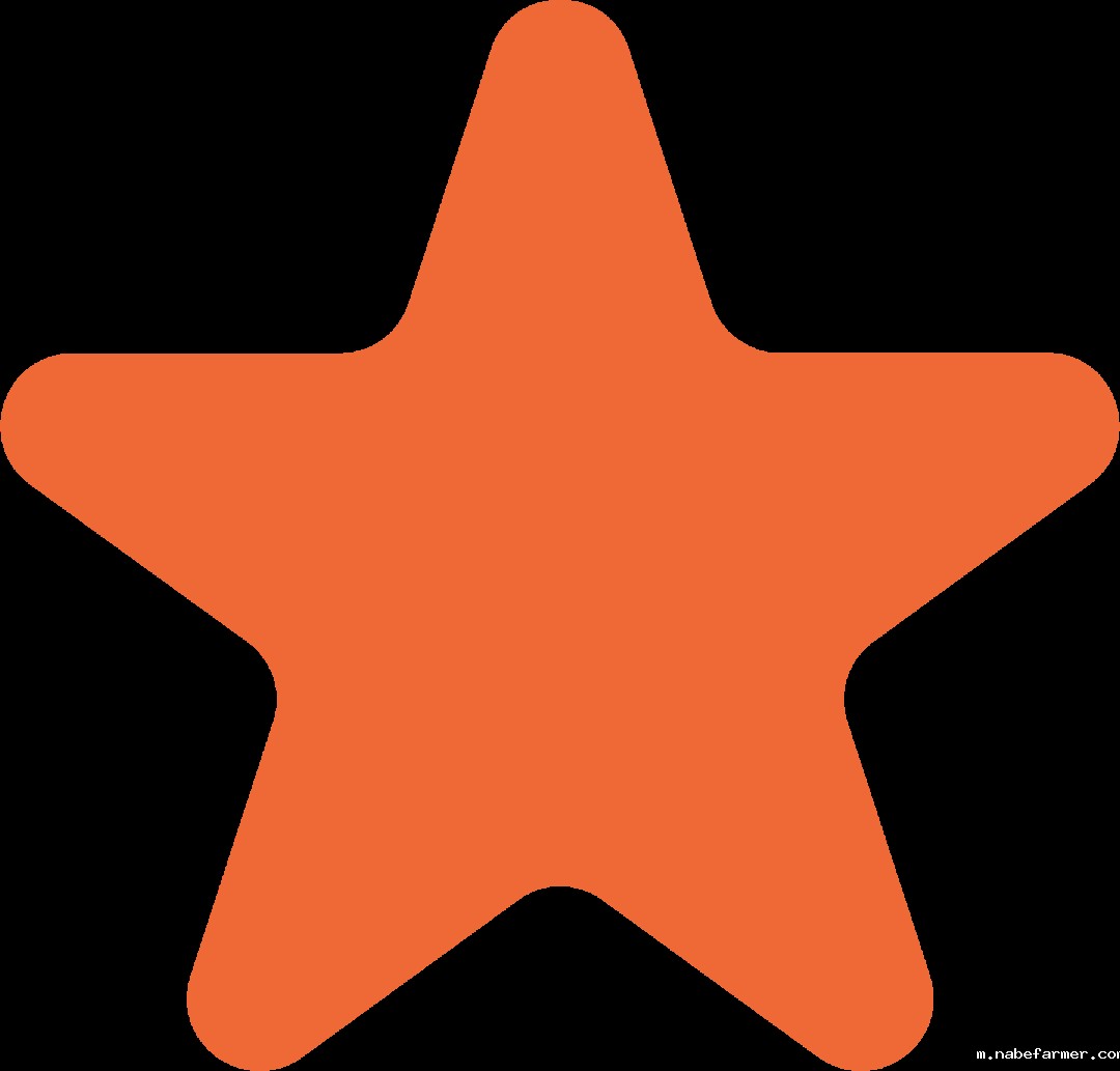 高2025届毕业典礼 | 扬帆起航,执炬前行,少年们去冲击更广阔的世界吧!