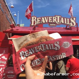 2025年夏令营|加拿大渥太华教育局English Immersion Program夏令营