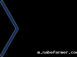 2025-26学年杭州惠立学校招生简章