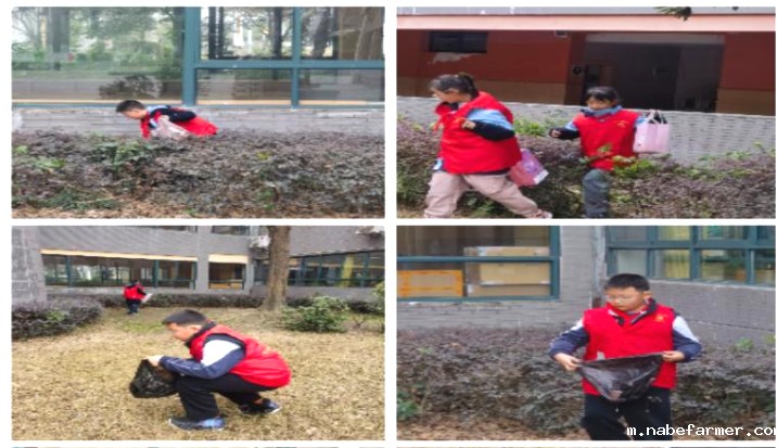 “校园小主人”成长记丨从倾听者到创造者,做自己的光!