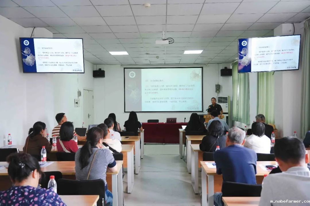 25年期中家长会|家校同心,共绘学子成长蓝图