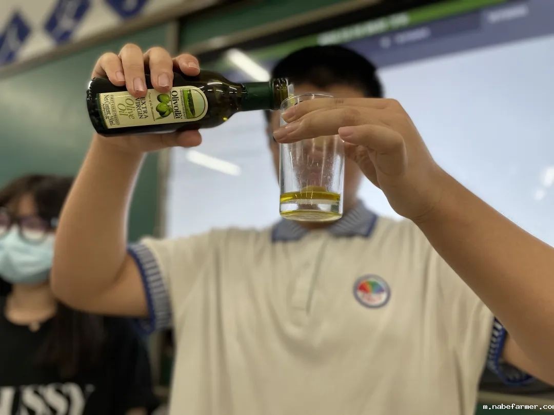 国际课程开启多元升学之路,直通世界名校!
